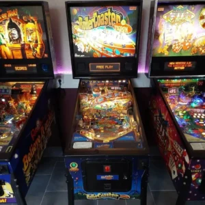 Rollercoster Tycoon Pinball Machine By Stern Pinball